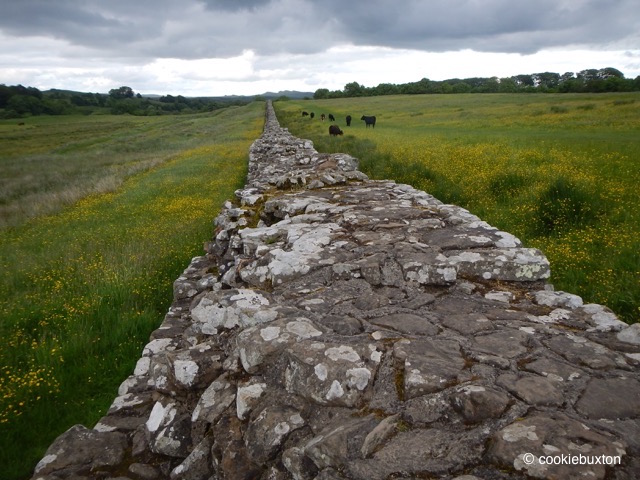 17281_4394_cookiebuxton_HadriansWall