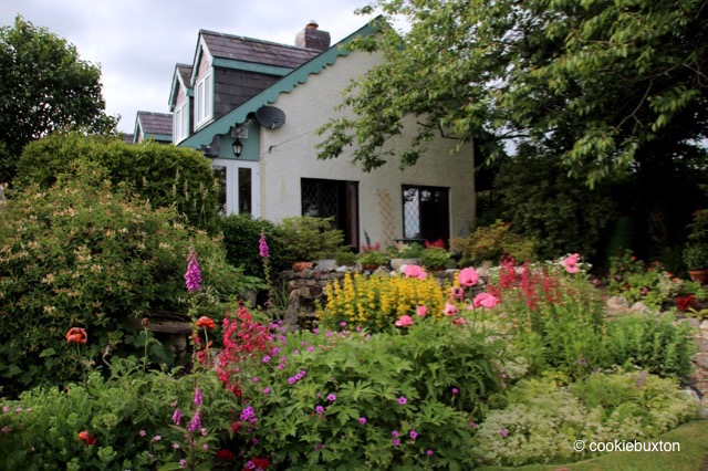 17459_3410_cookiebuxton_Welsh_cottage