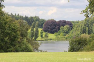 Blenheim Palace Park's Great Lake