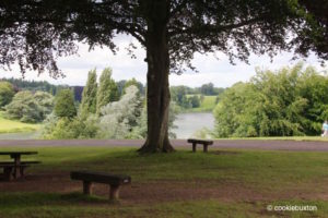 View of Blenheim Palace Park's Great Lake