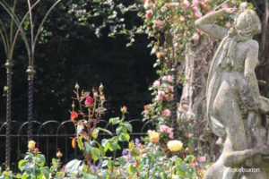 Blenheim Palace rose garden