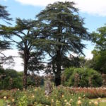 Blenheim Palace rose garden