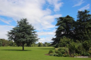 Blenheim Palace Garden grounds