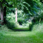 Stowe Garden Pathway