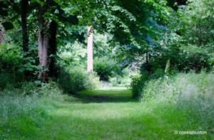 Stowe Garden Pathway