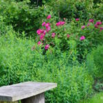 Bench at Stowe Garden