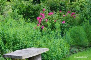 Bench at Stowe Garden