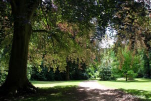 Stowe Garden walkway in the shade