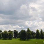 Sheep grazing at Stowe