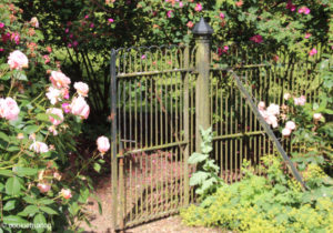 Waddeson rose garden gate